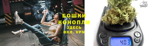 шишки Балахна