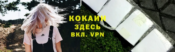 шишки Балахна