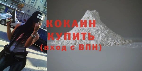 шишки Балахна