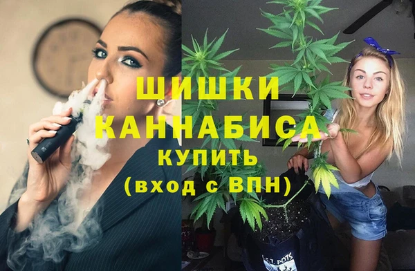 шишки Балахна