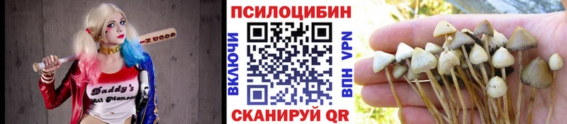 Псилоцибиновые грибы Psilocybine cubensis купить цена Горнозаводск